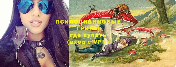 индика Нефтекумск
