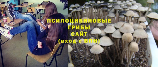 прущие крисы Сосновоборск