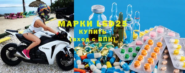 индика Нефтекумск