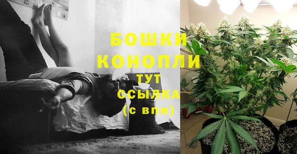 бошки Нефтегорск