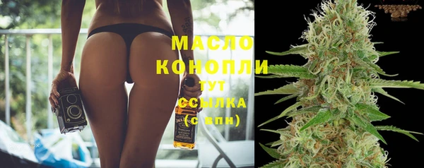 индика Нефтекумск