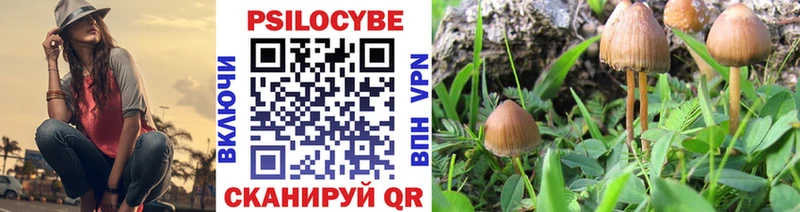 Купить где  Алупка  Галлюциногенные грибы мицелий 