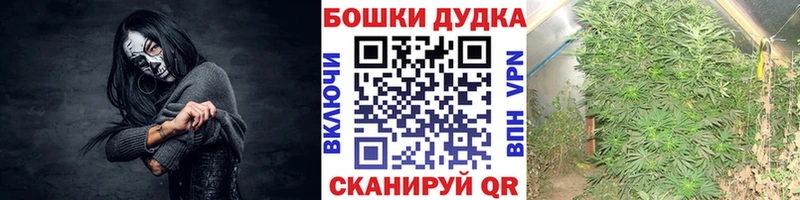 Купить  Алупка  Бошки марихуана OG Kush 